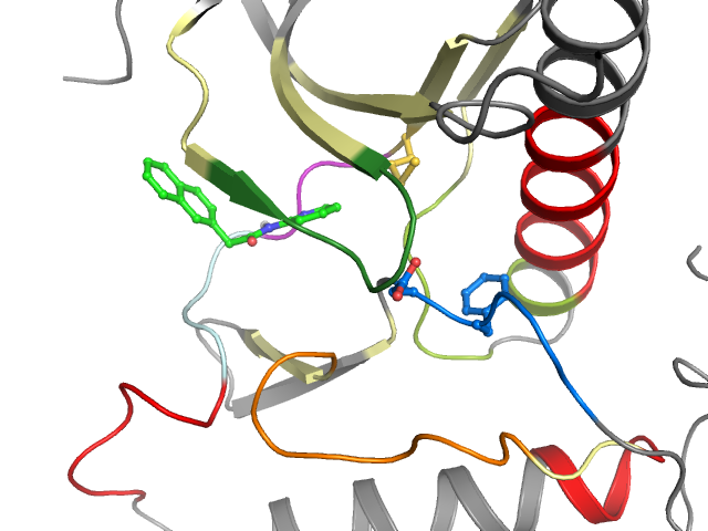 The orthosteric binding pocket