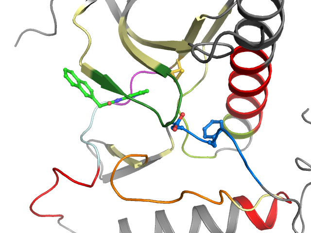 The orthosteric binding pocket
