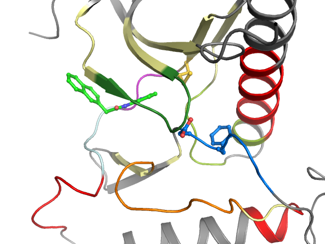 The orthosteric binding pocket