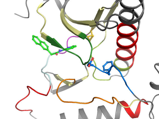 The orthosteric binding pocket