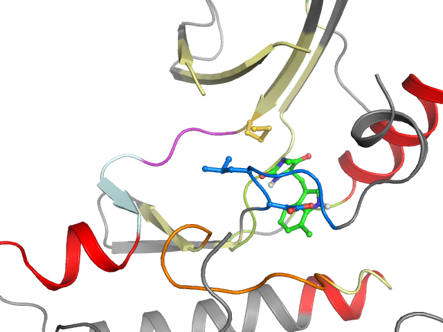 The orthosteric binding pocket
