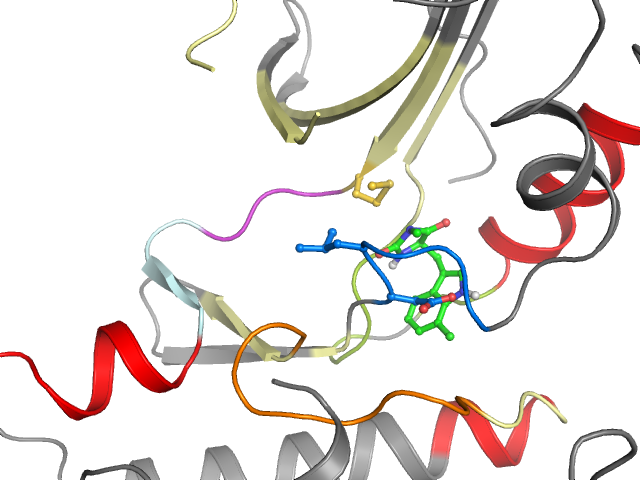 The orthosteric binding pocket