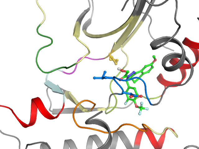 The orthosteric binding pocket