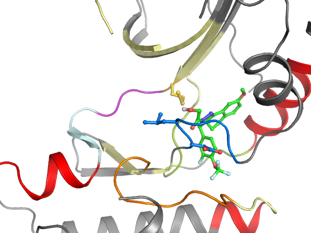 The orthosteric binding pocket