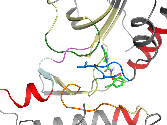 The orthosteric binding pocket