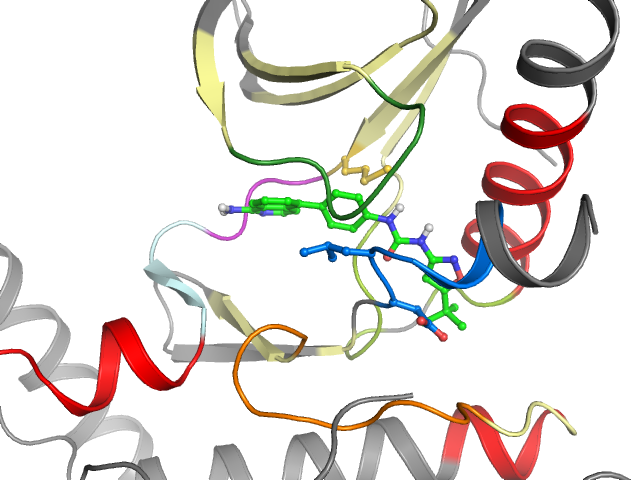 The orthosteric binding pocket