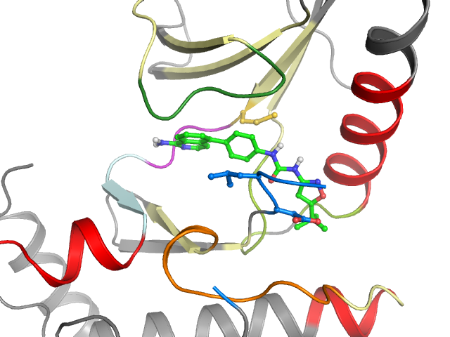 The orthosteric binding pocket
