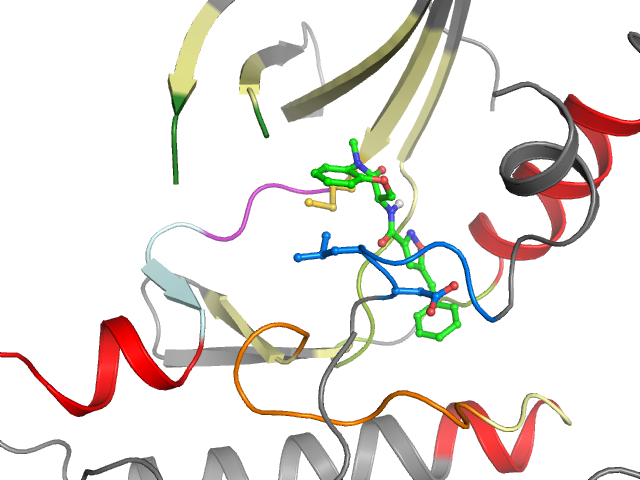 The orthosteric binding pocket