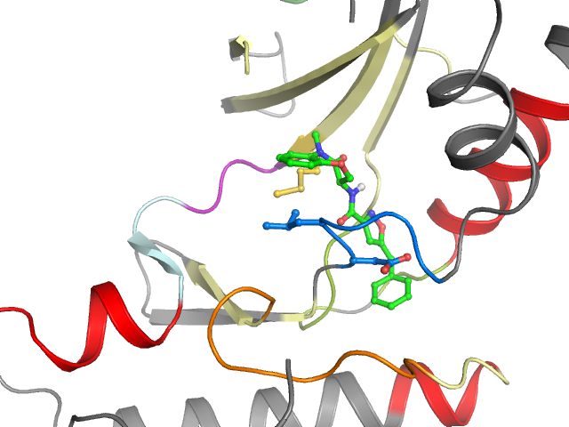 The orthosteric binding pocket