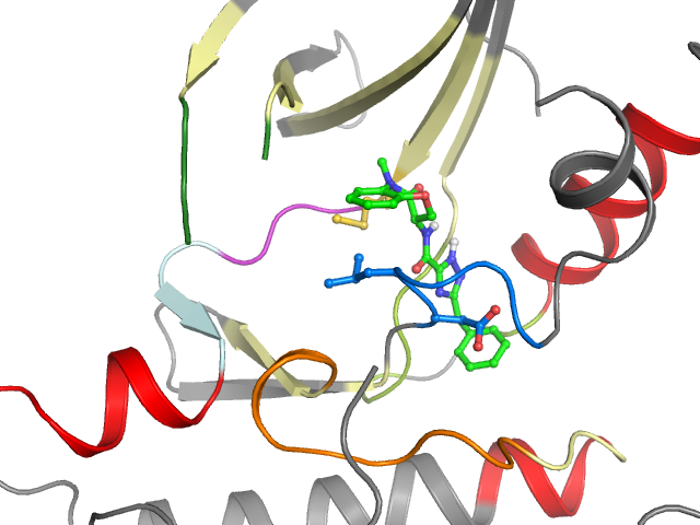 The orthosteric binding pocket