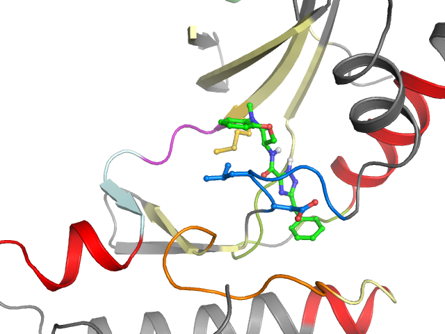 The orthosteric binding pocket