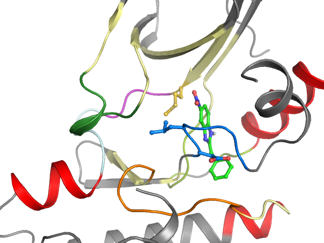 The orthosteric binding pocket