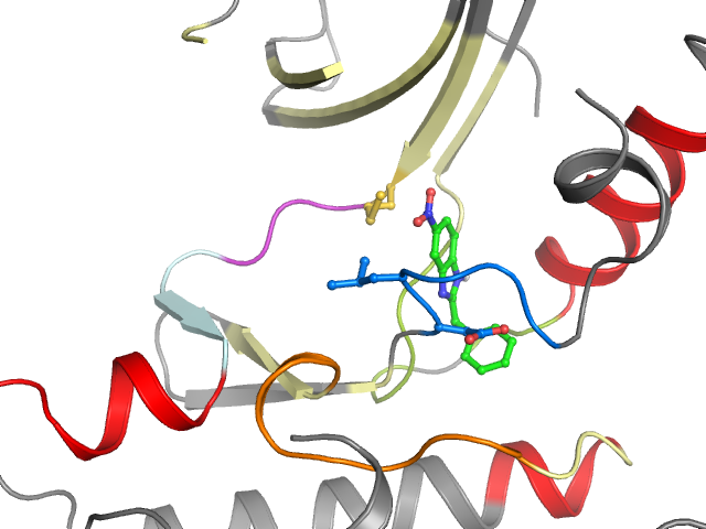 The orthosteric binding pocket