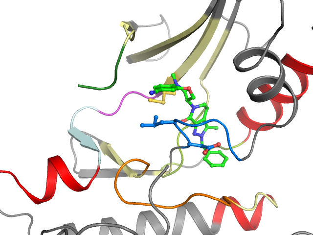 The orthosteric binding pocket