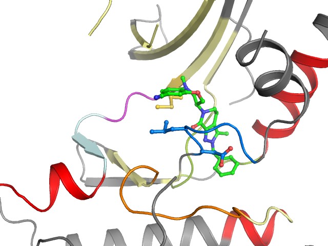 The orthosteric binding pocket