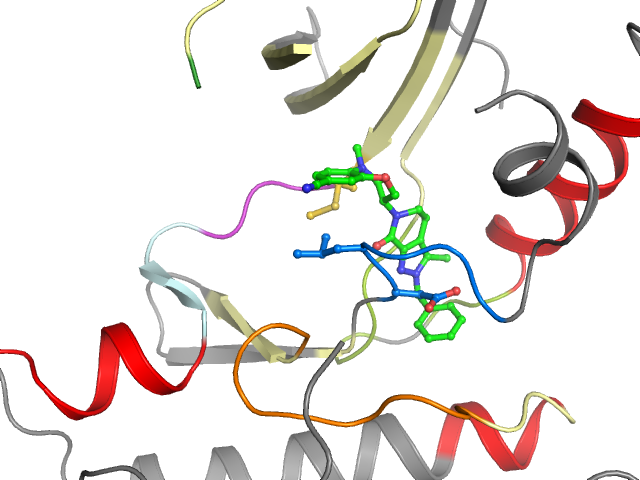 The orthosteric binding pocket