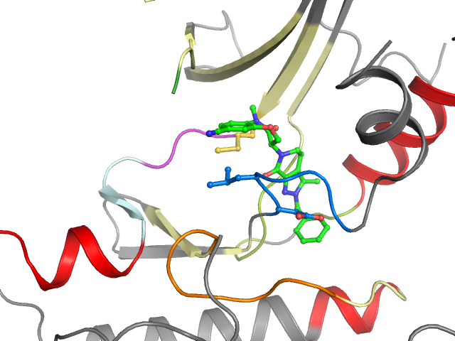 The orthosteric binding pocket