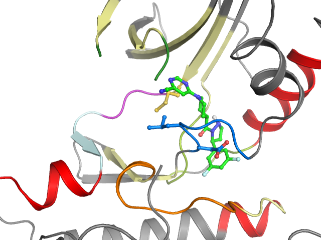 The orthosteric binding pocket