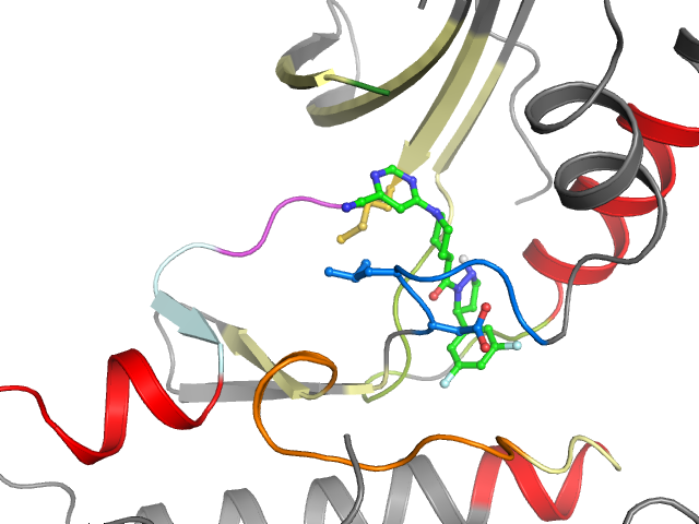 The orthosteric binding pocket
