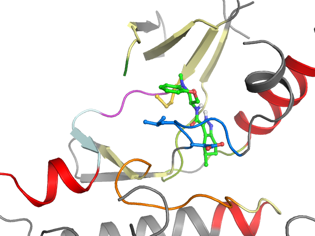 The orthosteric binding pocket