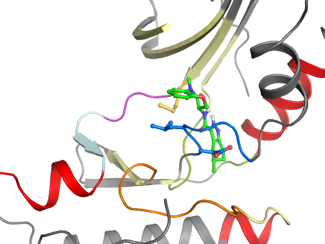 The orthosteric binding pocket