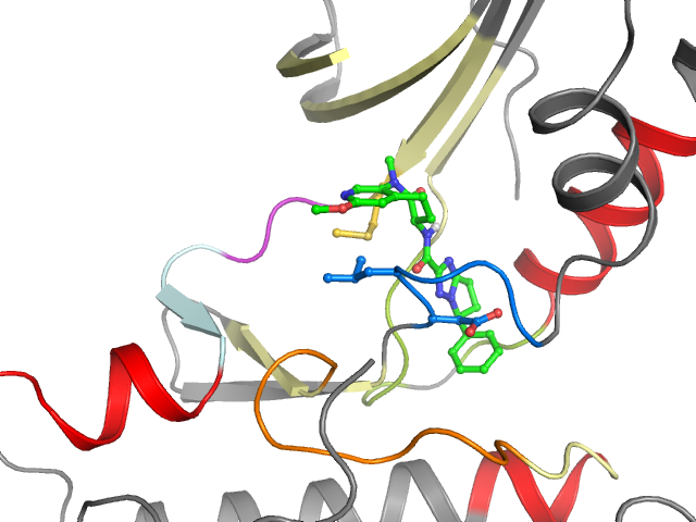 The orthosteric binding pocket