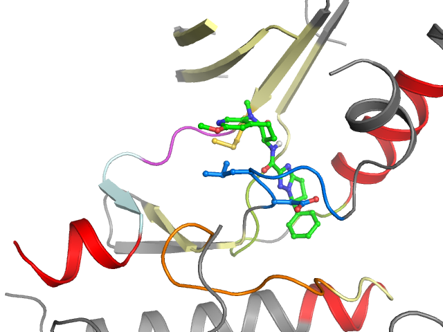 The orthosteric binding pocket