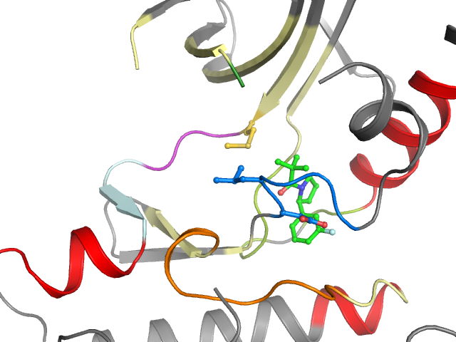 The orthosteric binding pocket