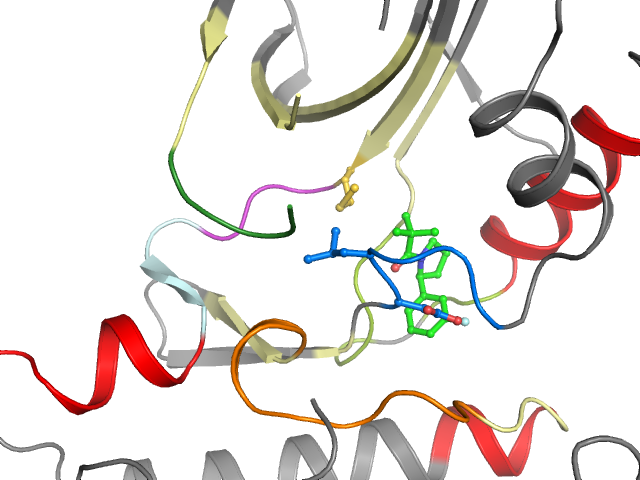 The orthosteric binding pocket