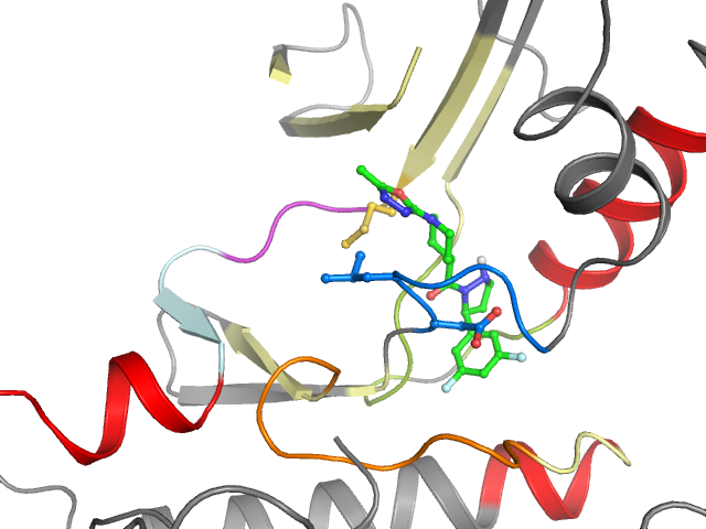 The orthosteric binding pocket