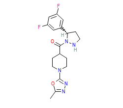 2D structure of the orthosteric ligand
