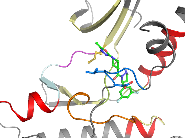 The orthosteric binding pocket