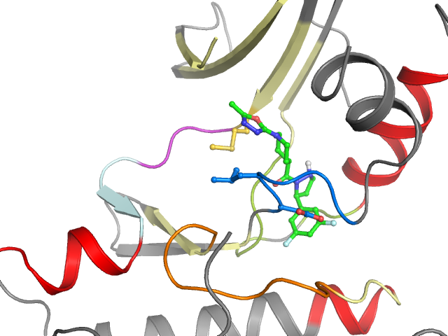 The orthosteric binding pocket