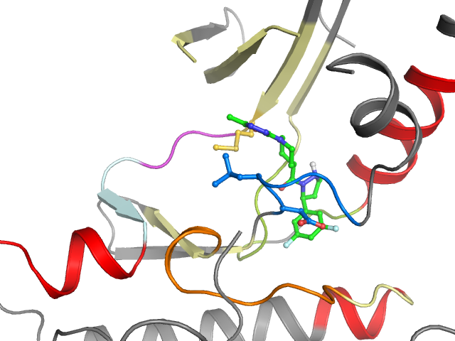 The orthosteric binding pocket
