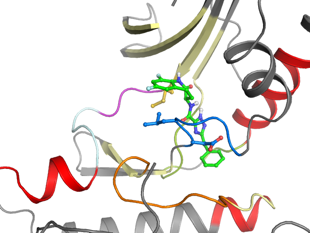 The orthosteric binding pocket