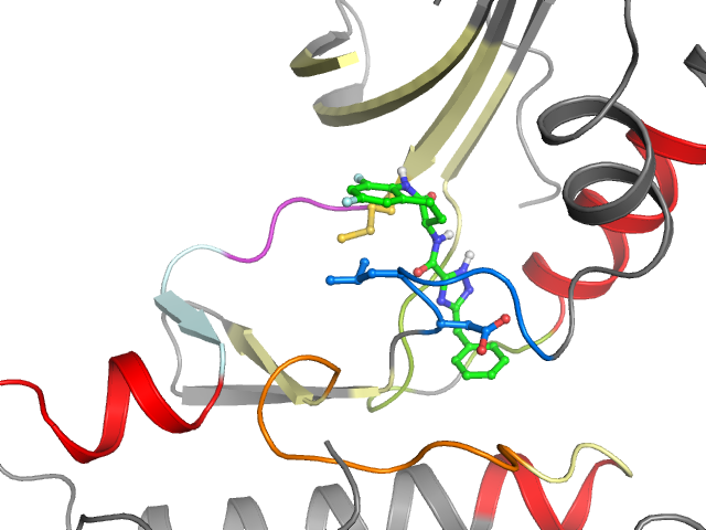 The orthosteric binding pocket