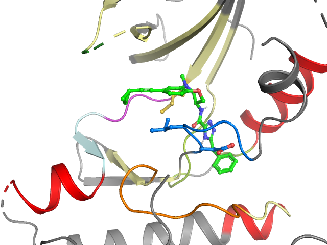 The orthosteric binding pocket