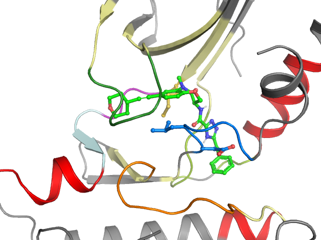 The orthosteric binding pocket