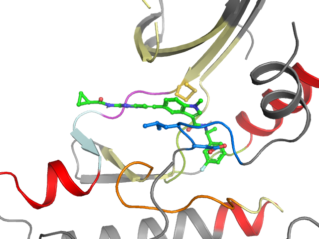 The orthosteric binding pocket