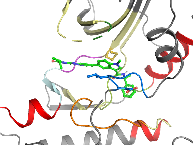 The orthosteric binding pocket