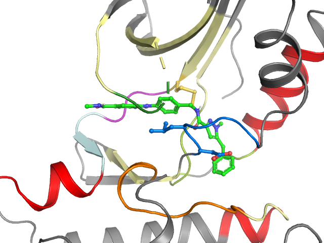 The orthosteric binding pocket