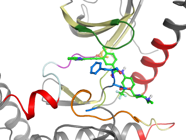 The orthosteric binding pocket