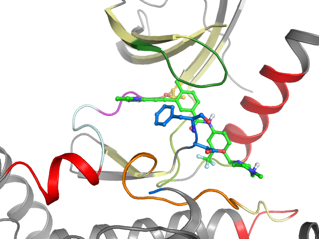 The orthosteric binding pocket