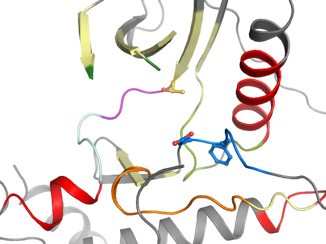 The orthosteric binding pocket