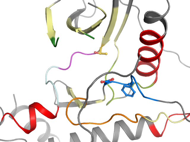 The orthosteric binding pocket