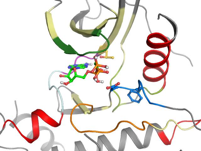 The orthosteric binding pocket