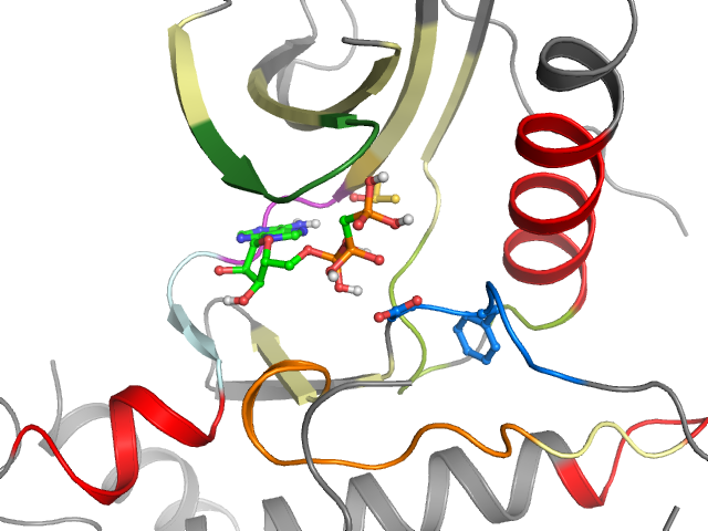 The orthosteric binding pocket