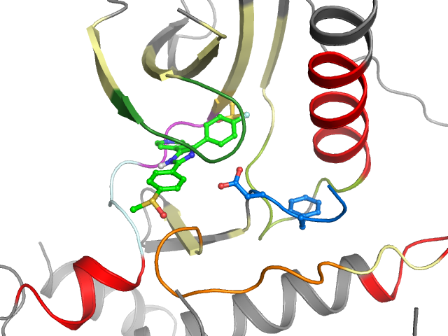 The orthosteric binding pocket