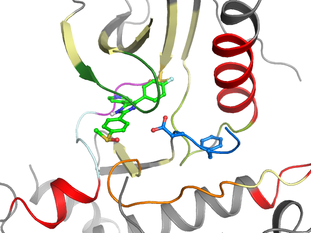 The orthosteric binding pocket