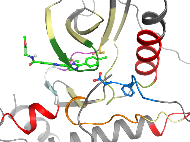 The orthosteric binding pocket